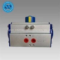An tSín Gníomhach Raca Aonair Agus Pinion Actuator