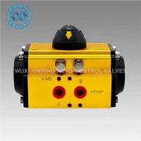 Cruach charbóin cruach dhosmálta actuator neomatach ardchaighdeáin