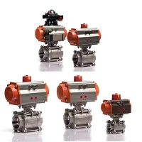 Gníomhaire Aeroibrithe Snáithe Inmheánach Cruach dhosmálta 316 3 PCS Comhla Ball Dhéthreoch Neomatach